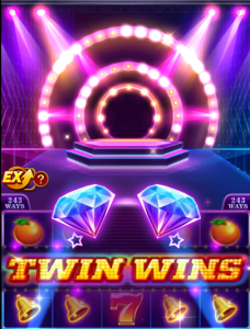 TWinWins插图