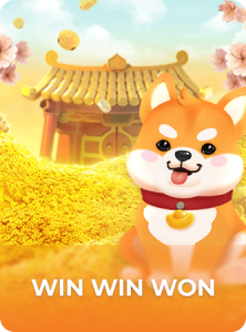 Win Win Won插图5