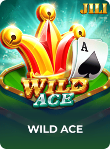 Wild Ace插图5