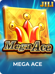 Mega Ace插图7