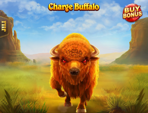 Charge Buffalo插图1